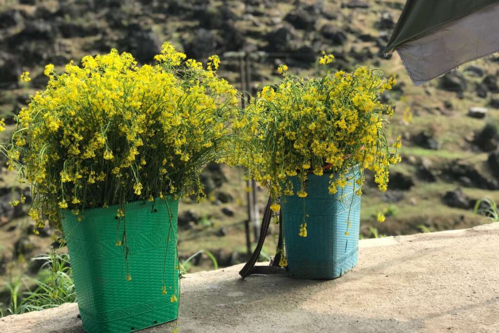 Ha Giang
