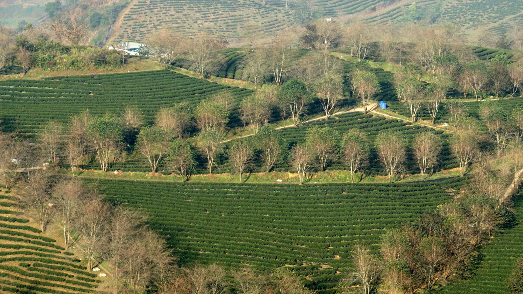 sapa-trek