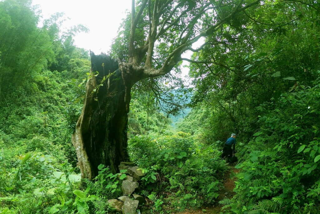 le paysage pittoresque de Cao Bang