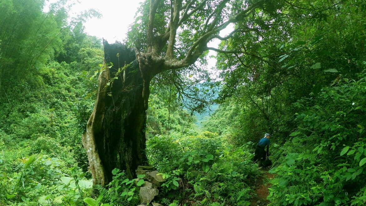 le paysage pittoresque de Cao Bang