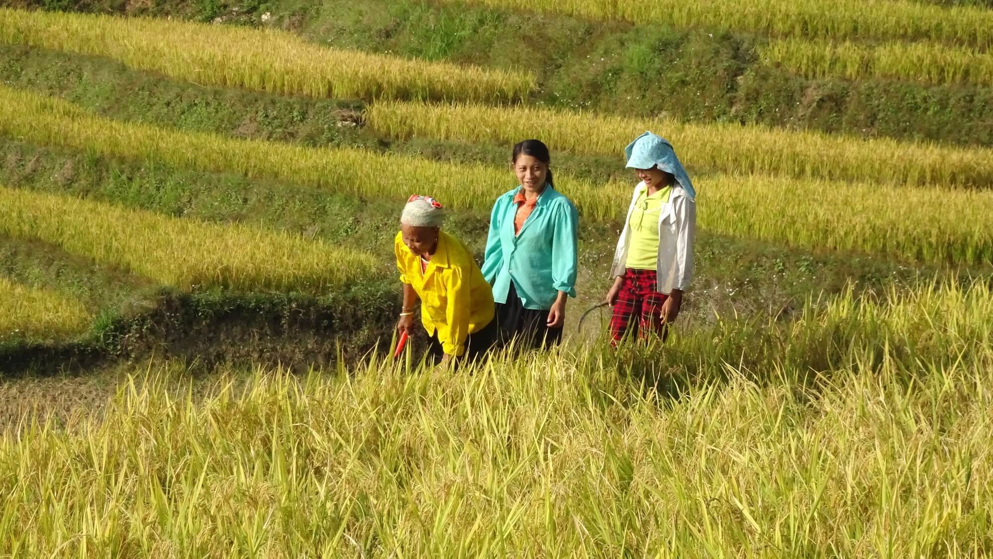 Bao Lac Cao Bang