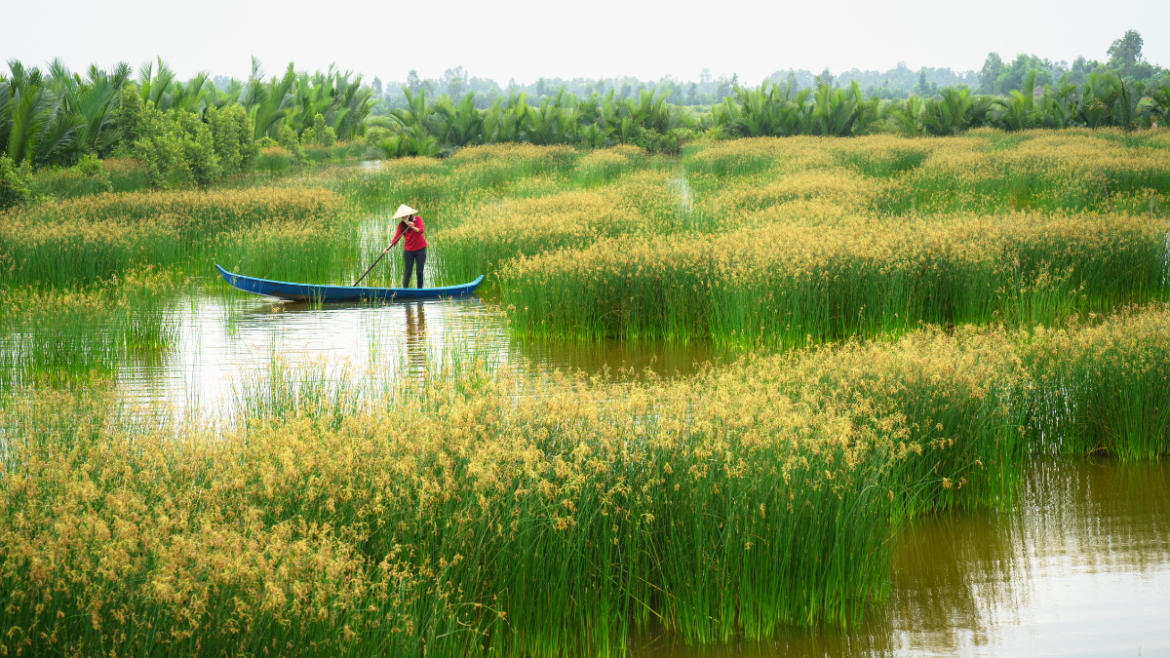 Mekong Delta