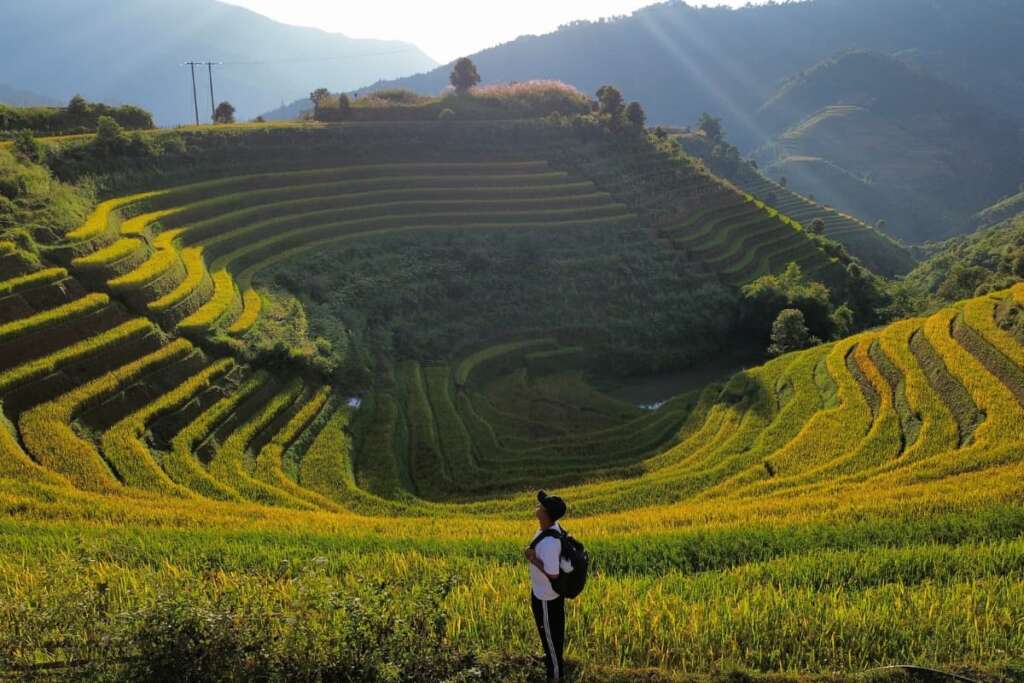 Rizières en terrasses dorées de Mu Cang Chai au coucher du soleil