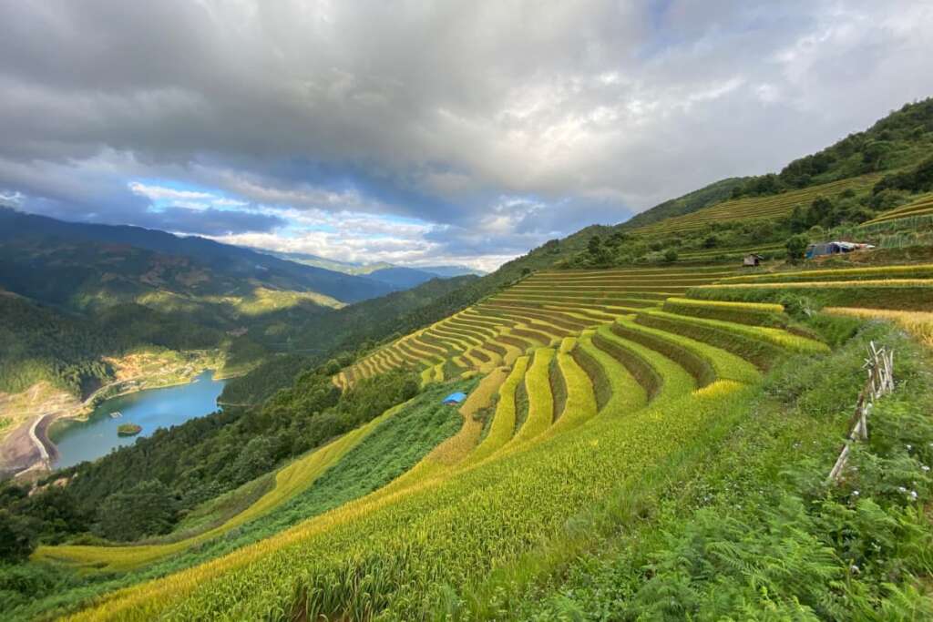 Mu Cang Chai pendant la saison du riz