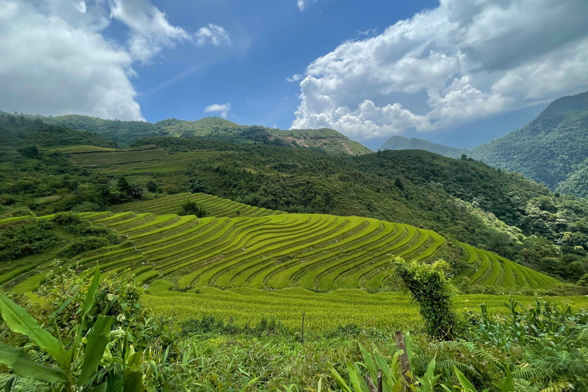 Karst landscapes of North Vietnam