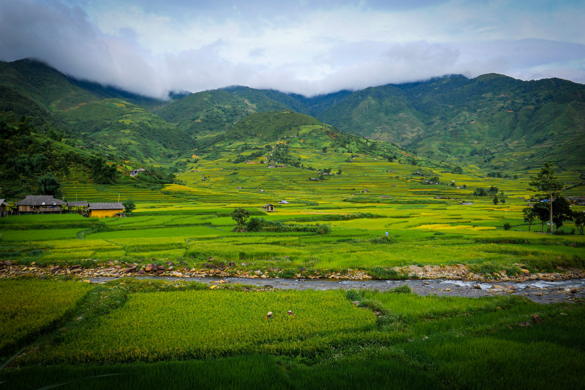 Belle scène pour la photographie dans les rizières en terrasses de Mu Cang Chai