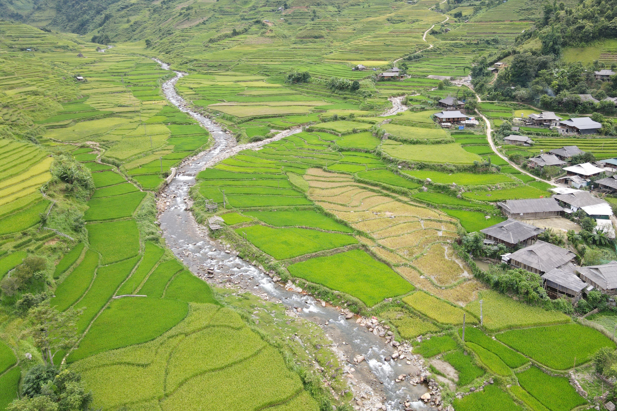 Rizières en terrasses à Mu Cang Chai Vietnam