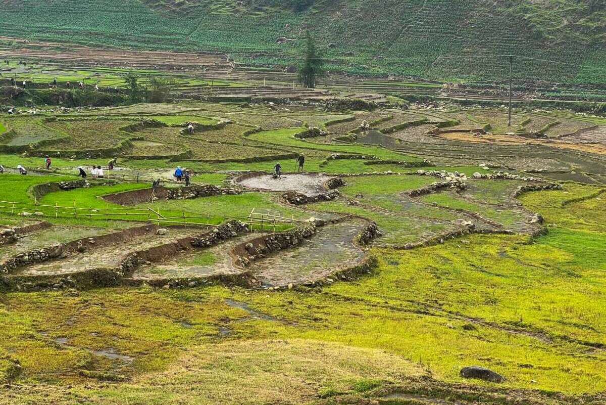 Nature intacte à Sapa et Mu Cang Chai