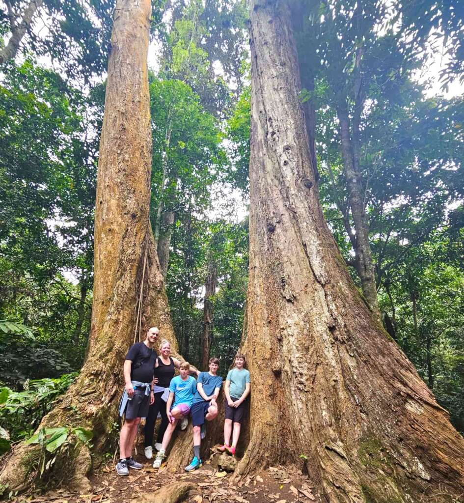 Cuc Phuong National Park