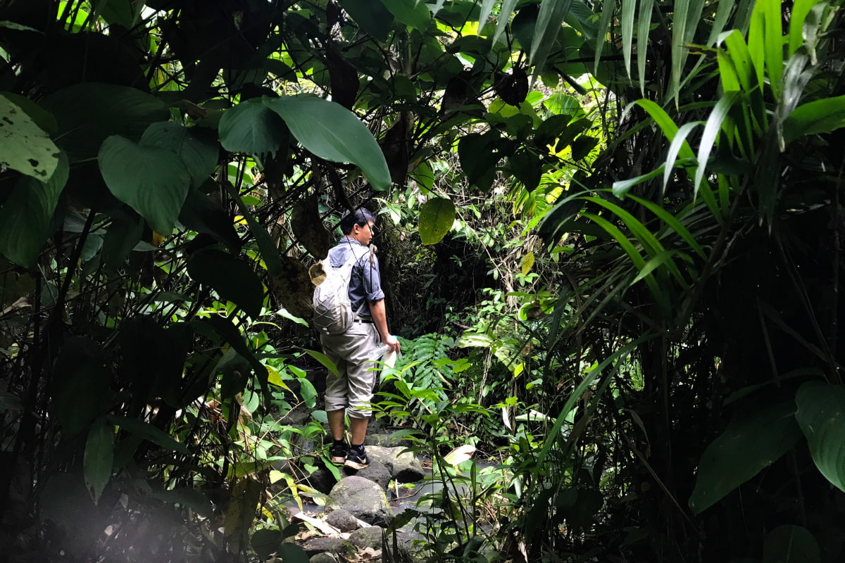 Nam Cat Tien National Park Nam Cat Tien National Park