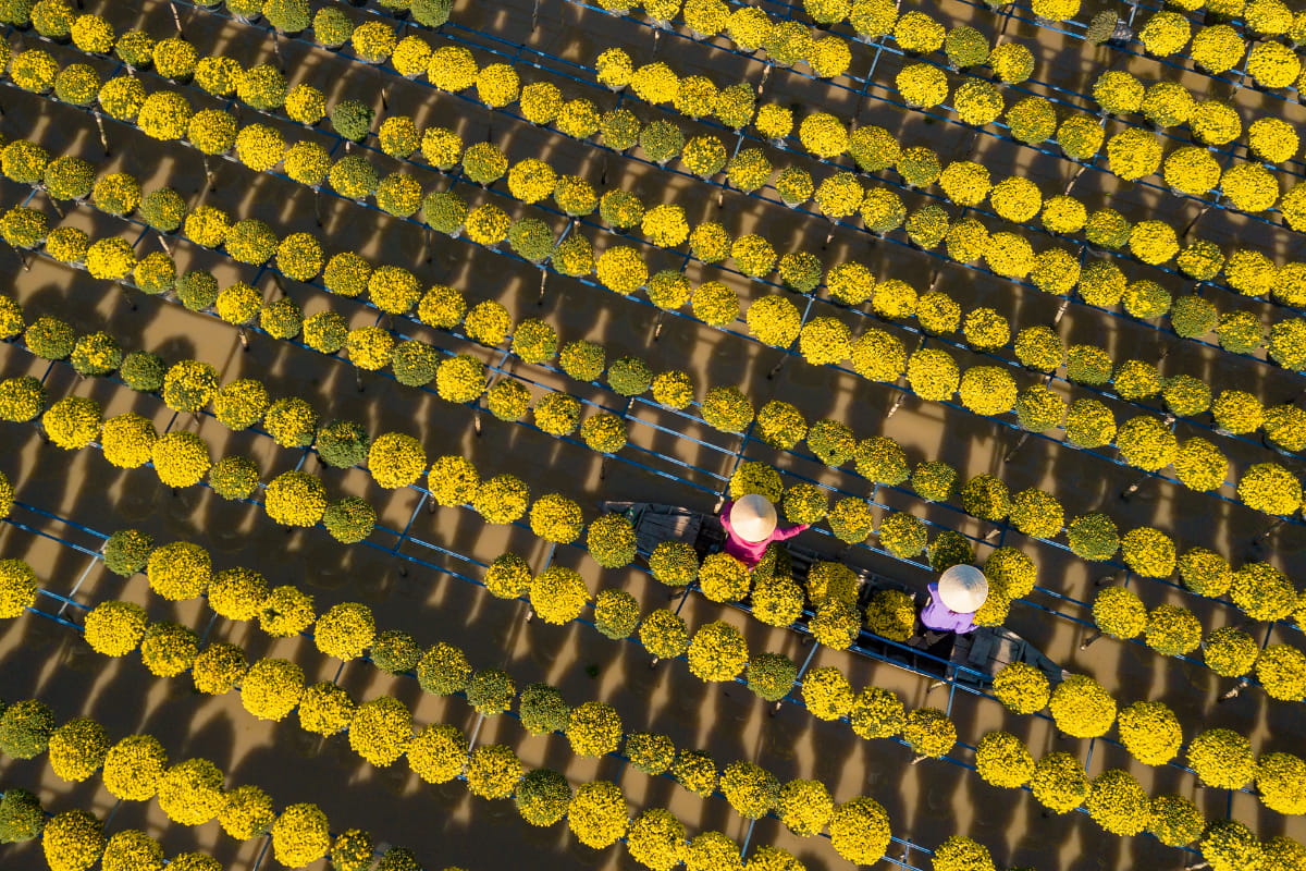 Le village fleuri de Sa Đéc