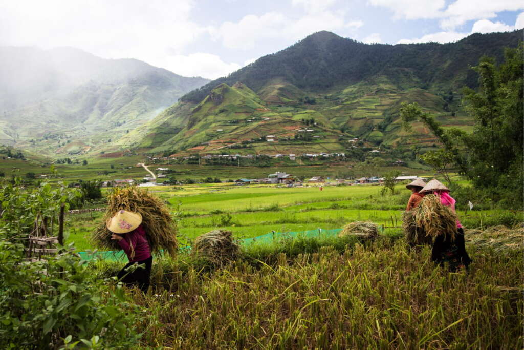 Magnifiques rizières en terrasses à Mu Cang Chai
