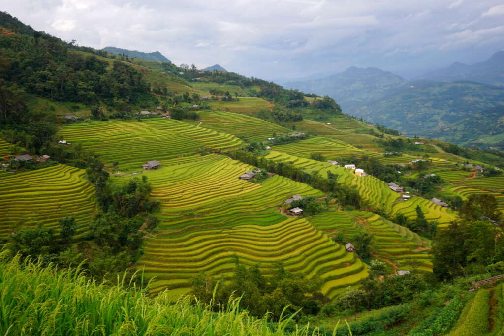 Splendides rizières en terrasses à Hoang Su Phu, Ha Giang