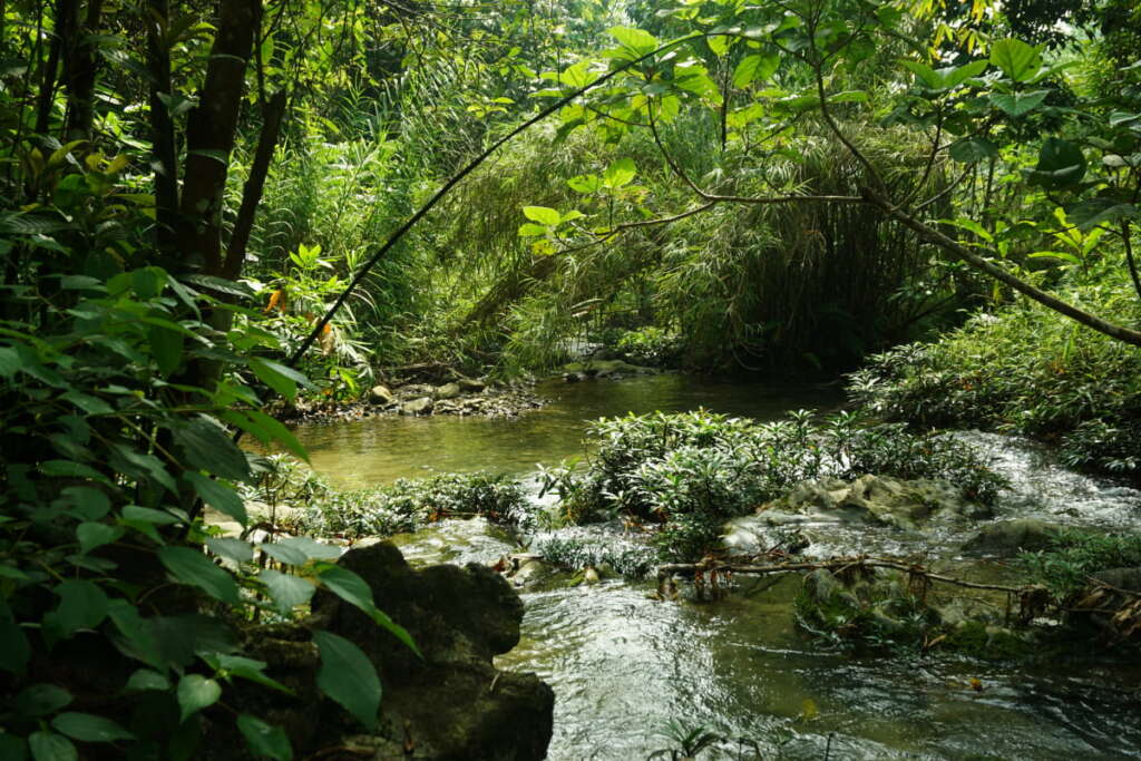 Paysages préservés de Lam Thuong