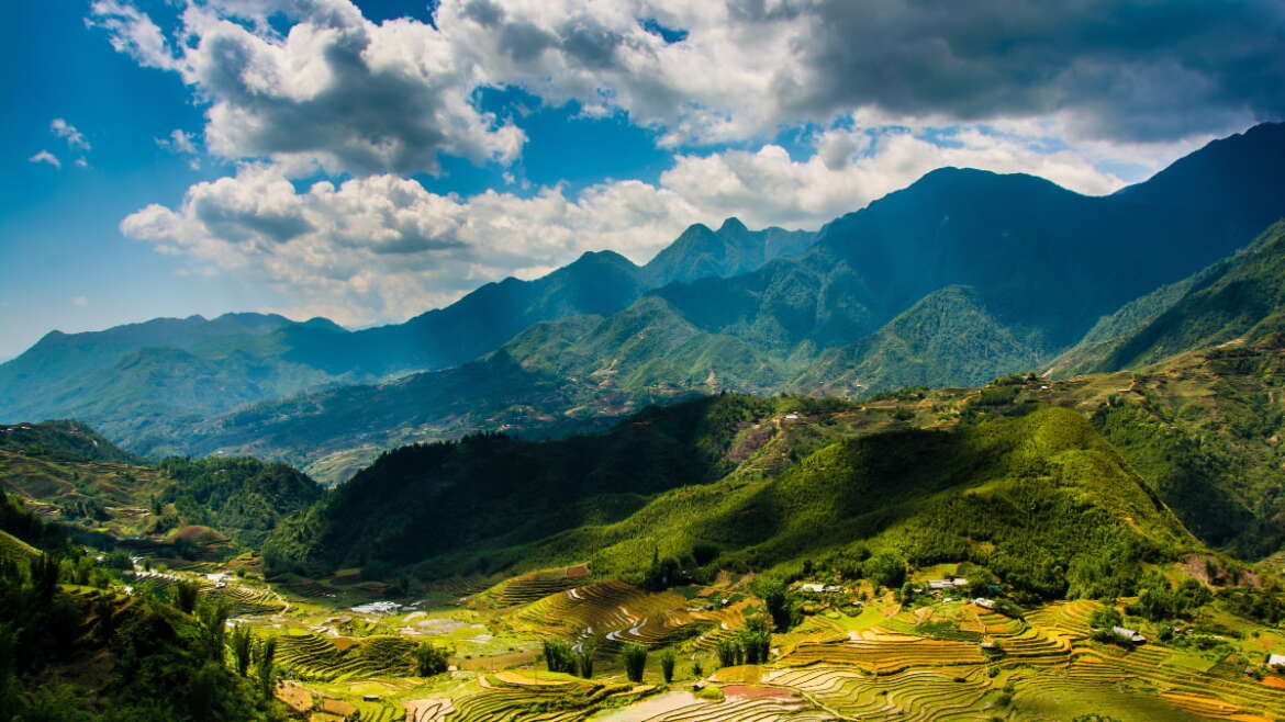 Rizières en terrasses au Vietnam