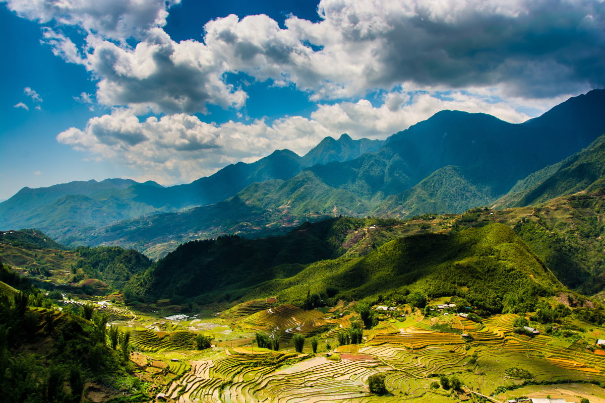 Rizières en terrasses au Vietnam