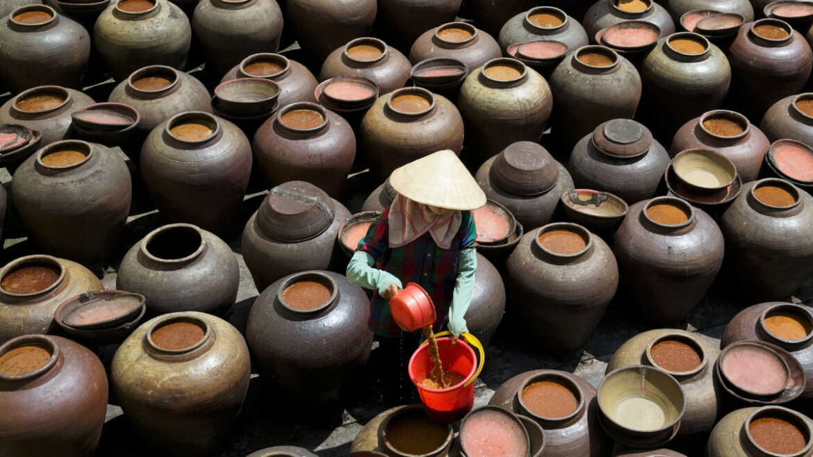 Sauce soja Yên Nhân (tương bần) Village