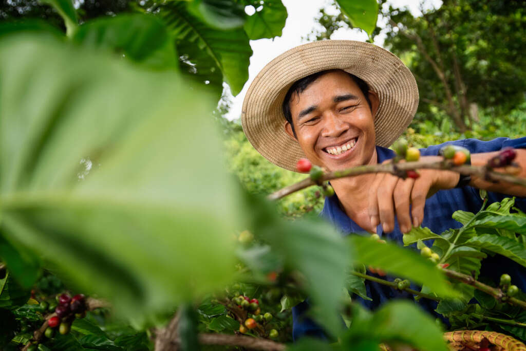 Harvest & brew coffee - Buon Ma Thuot