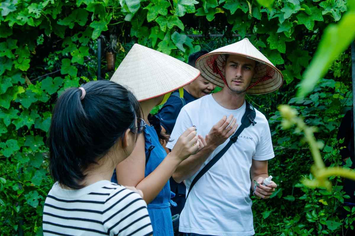 Découvrez les herbes et les épices locales à Hanoi