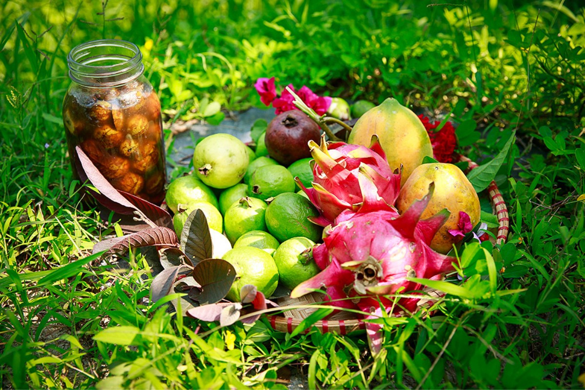 Cours de cuisine avec expérience dans une ferme biologique à Hanoi