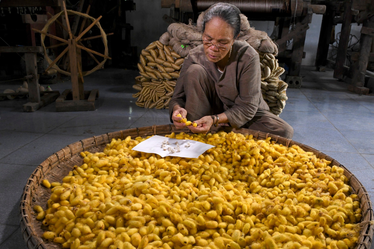 Tissage de soie en fibres de lotus