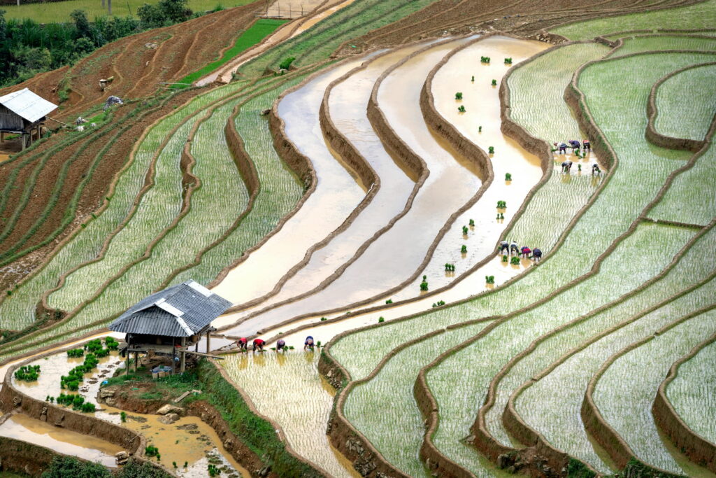 saison des eaux à Mu Cang Chai