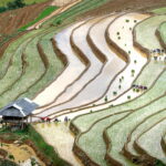 saison des eaux à Mu Cang Chai