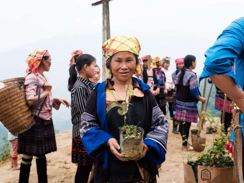 H’mong local people in Mu Cang Chai H'mong local people in Mu Cang Chai