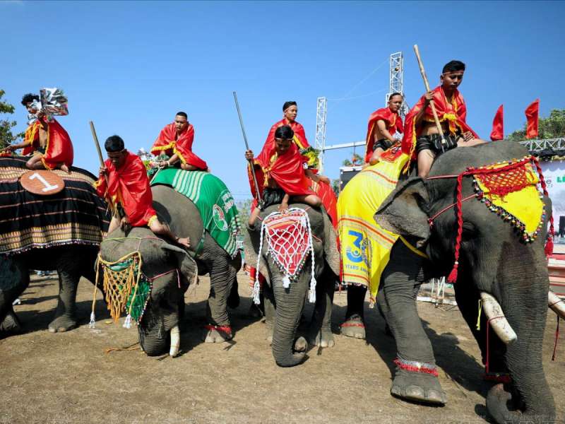 Elephant festival in Dak Lak, Central Highlands | Photo: Thông tấn xã Việt Nam