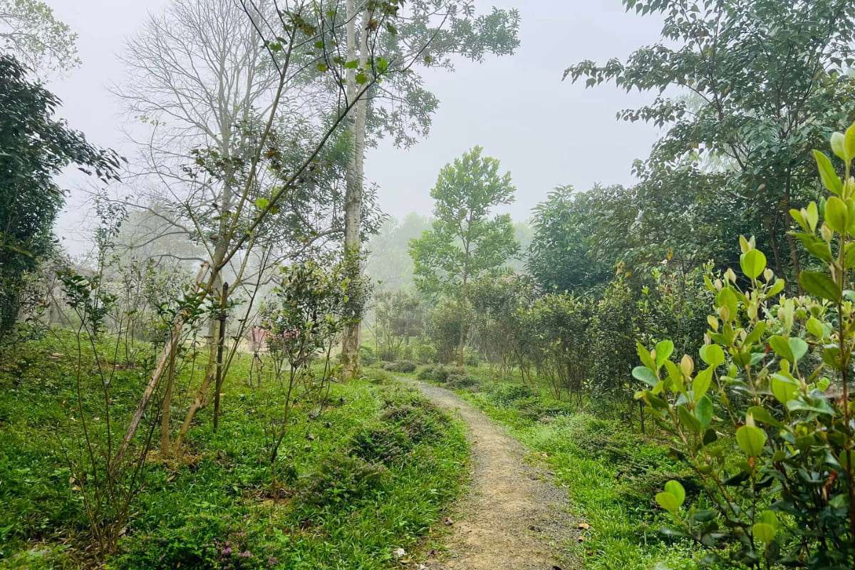 A Luoi mountainous town - Hue