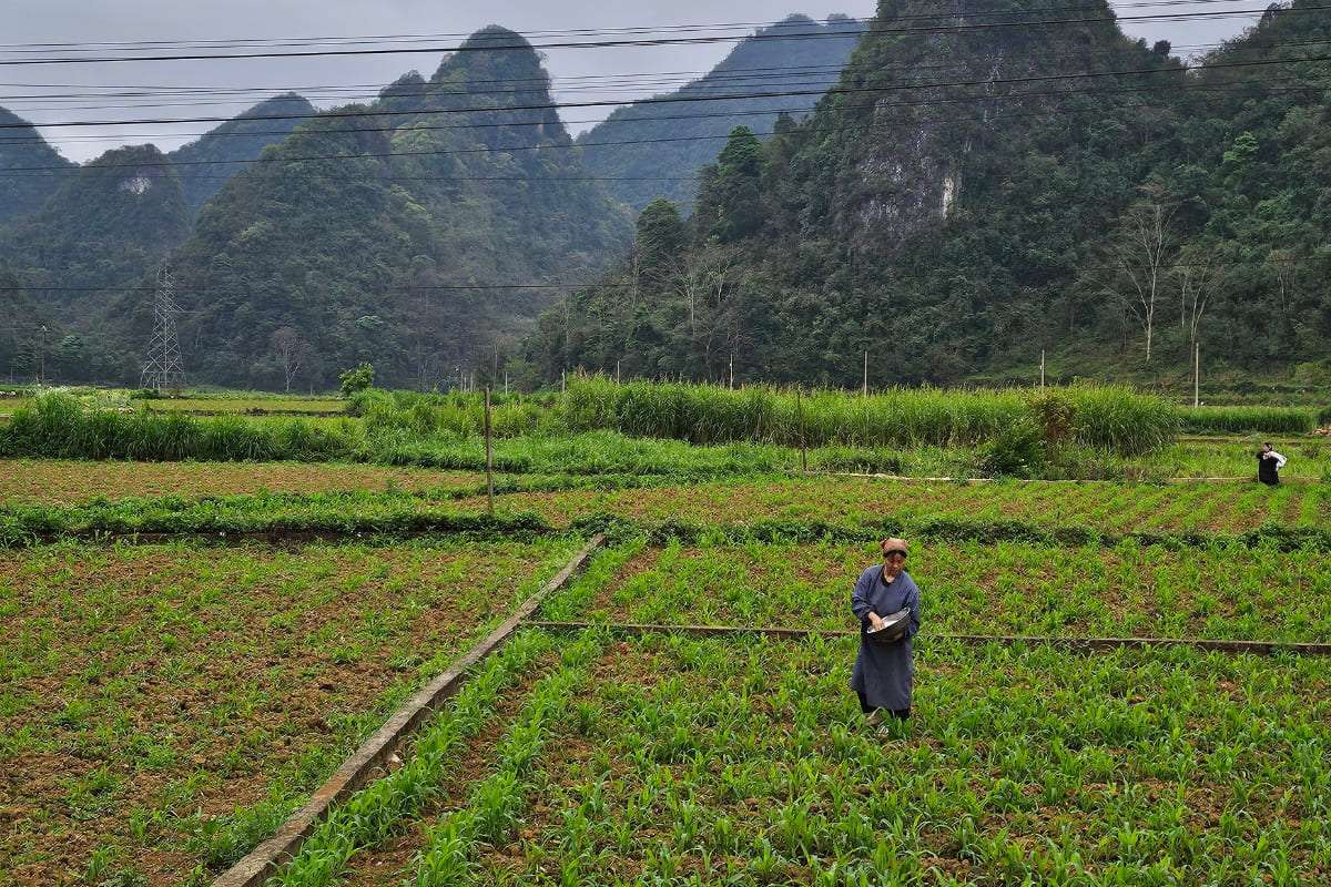 Cao Bang (22)