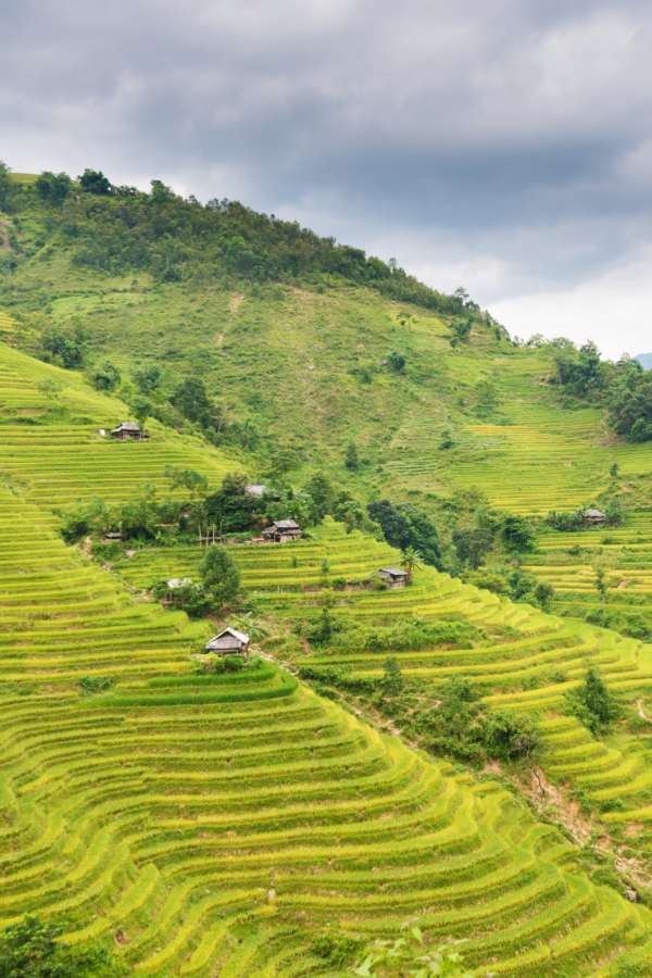Hoang Su Phi Hoang Su Phi