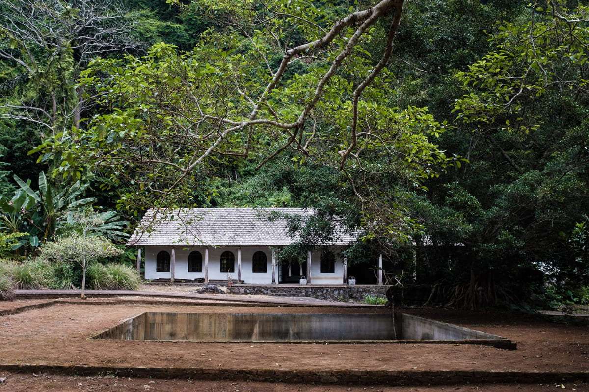 Charming accommodation nestled deep within Cat Ba National Park