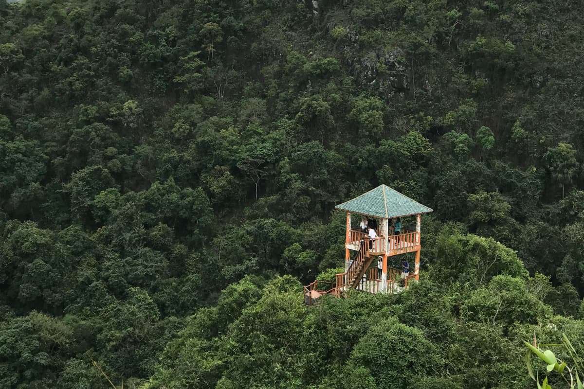 Trek through the Cat Ba National Park