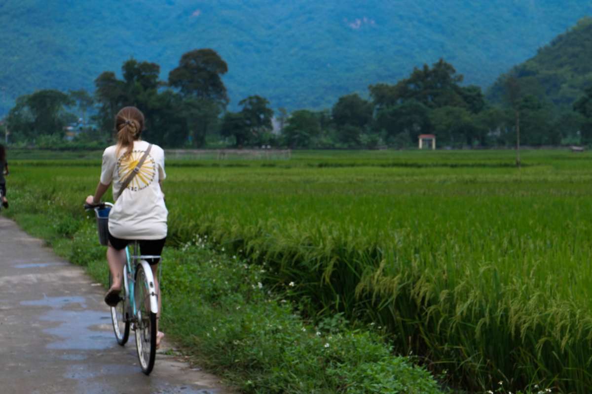 Cycling through the rice fields in Mai Chai