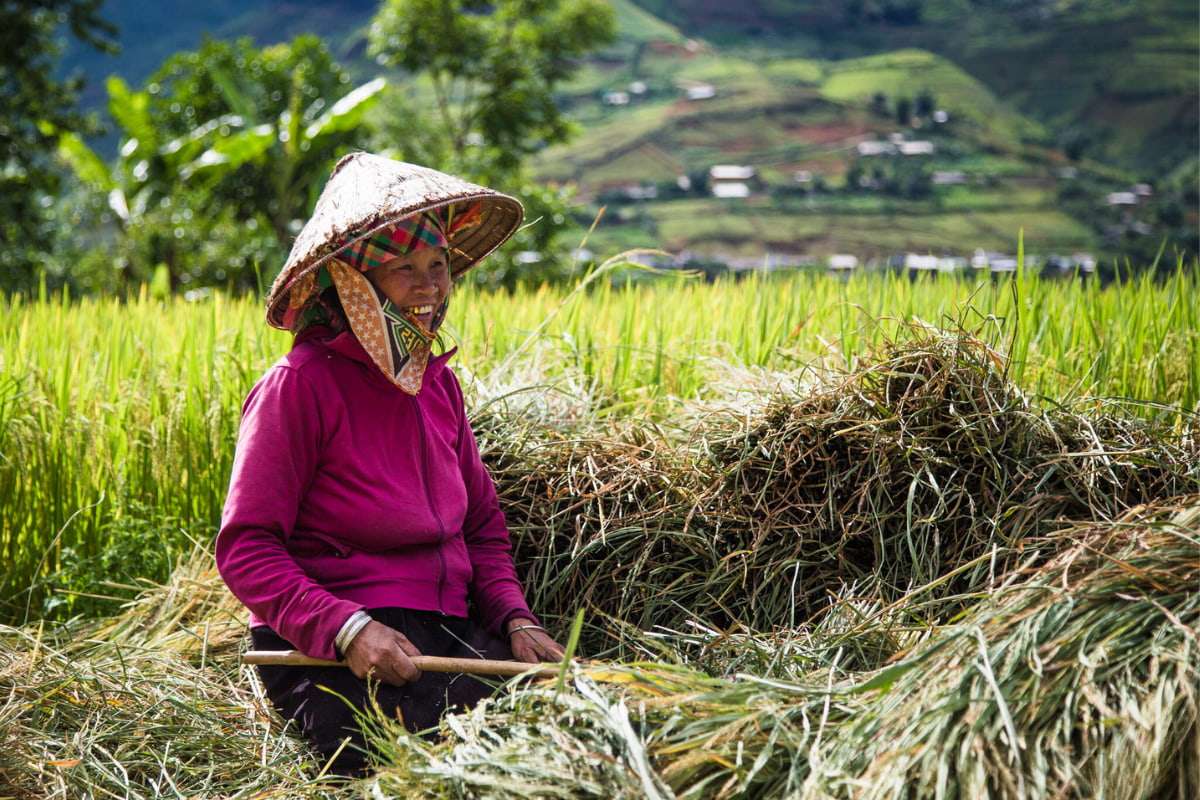 Mù Cang Chải (26)