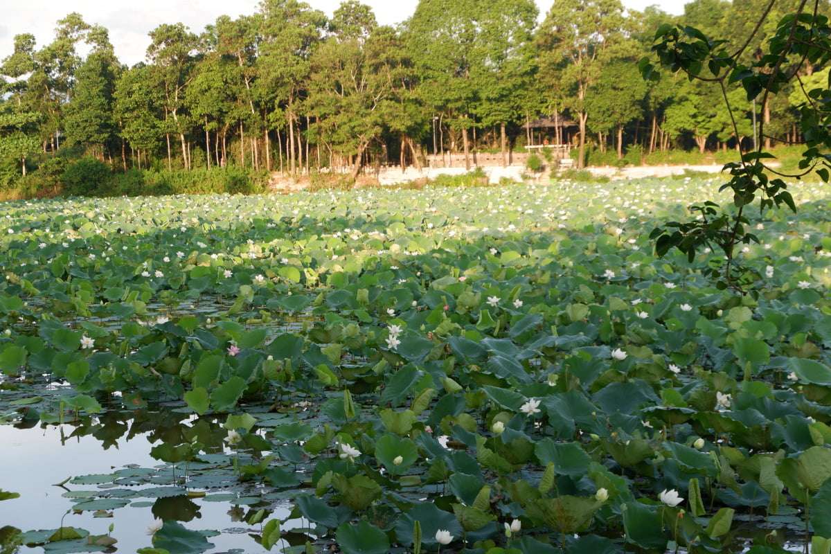 Phuoc Tich Village - Hue (7)