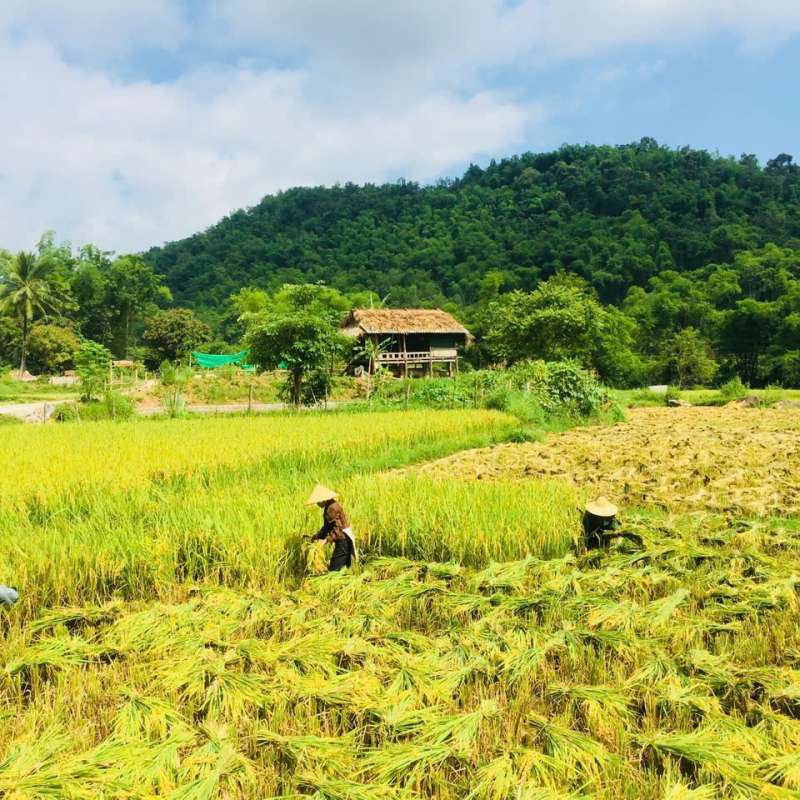 Pu Luong 3 Expérience agricole Mai Chau