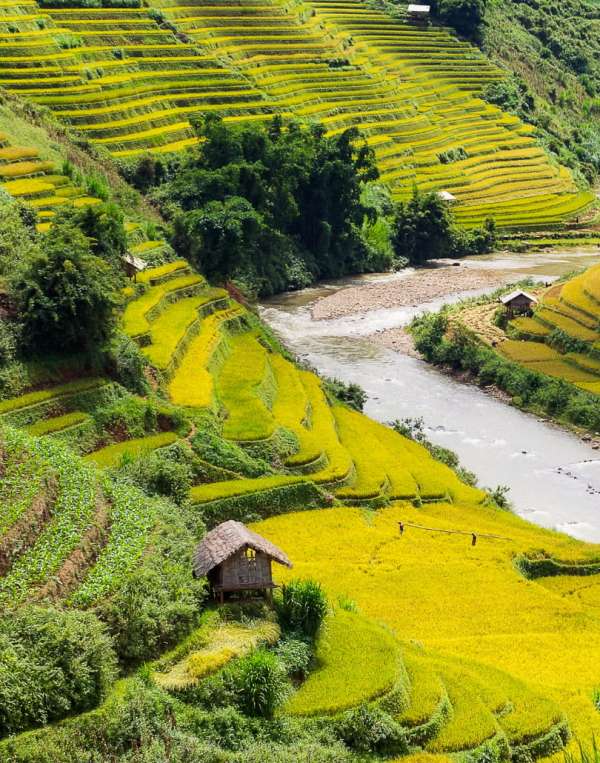 Rizières en terrasses de Sapa au lever du soleil