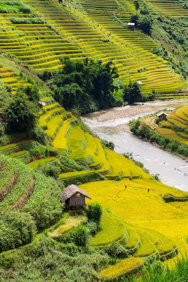 Sapa (15) Rizières en terrasses de Sapa au lever du soleil