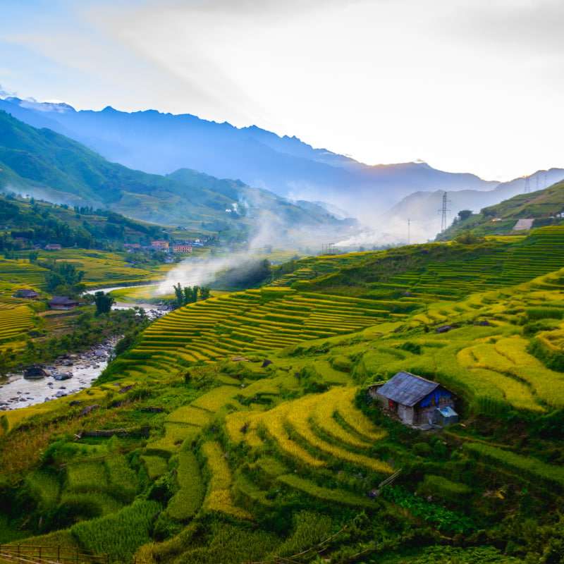 Sapa (5) Rizières en terrasses de Sapa au lever du soleil
