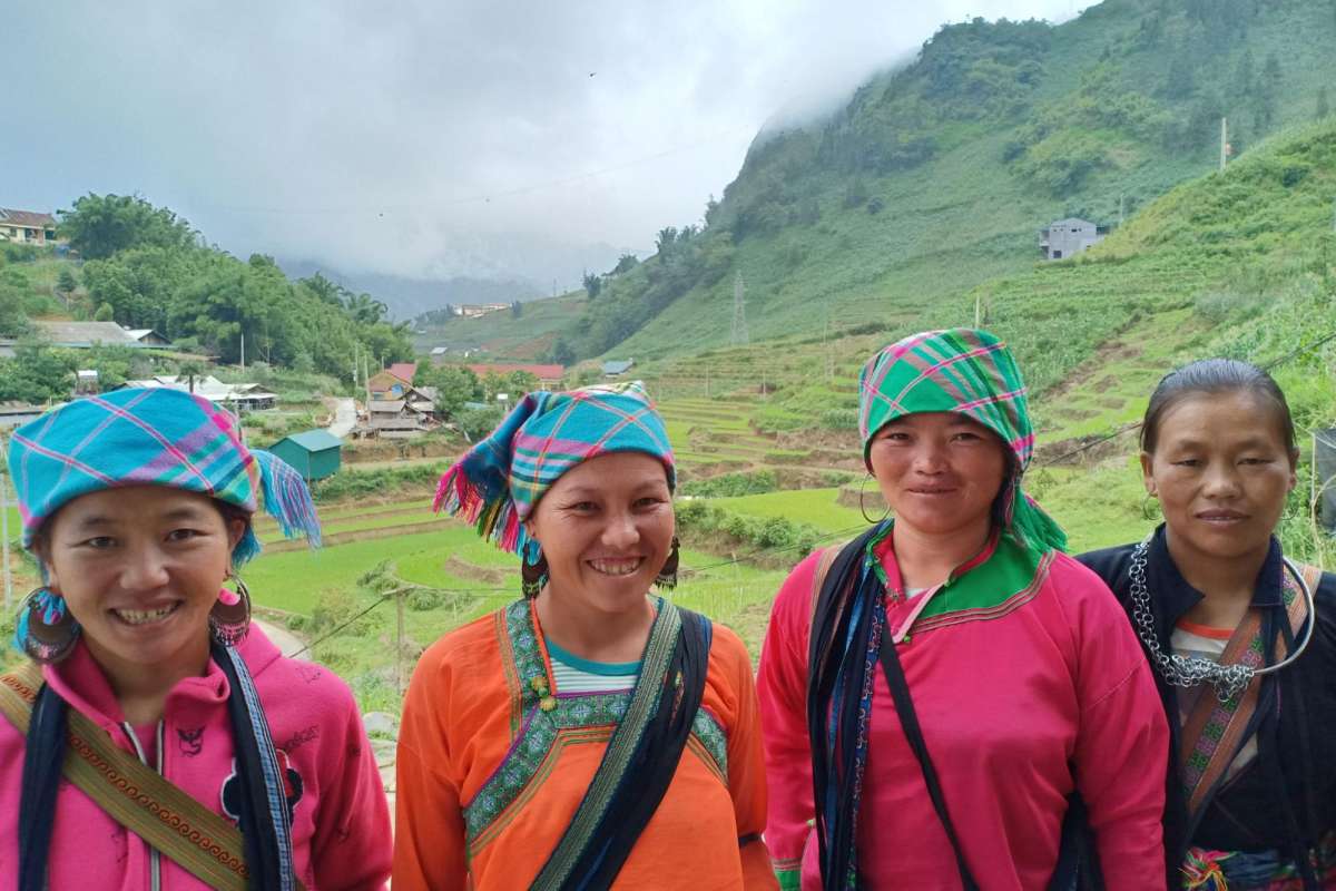 Sapa
