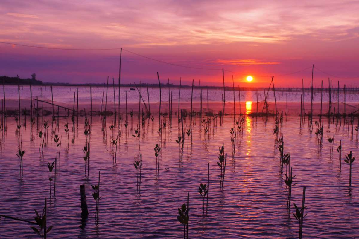 Enjoy sunset at Tam Giang Lagoon